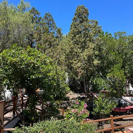 Ilune Iun T4946 Apartman *